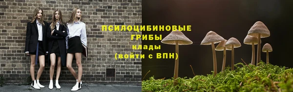 прущая мука Алзамай